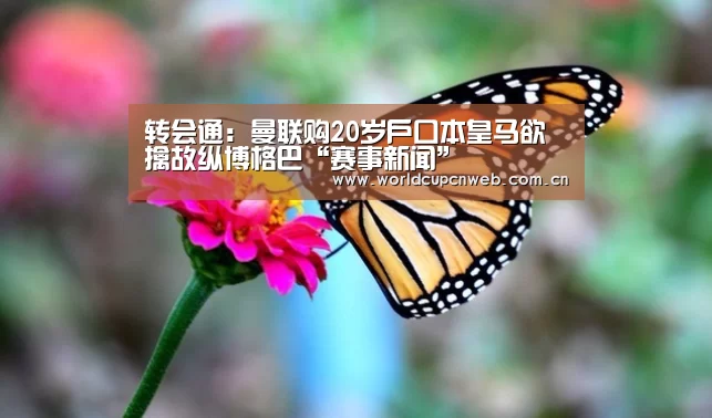 转会通:曼联购20岁户口本皇马欲擒故纵博格巴“赛事新闻”(图1) 球队资讯