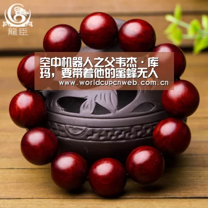 空中机器人之父韦杰·库玛,要带着他的蜜蜂无人机群来中国“耍杂技”了“球队资讯”(图3) 赛事新闻