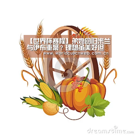 【世界杯赛程】弟媳回归米兰与伊布重聚?理想虽美好但面对现实可要三思...(图3) 球队资讯