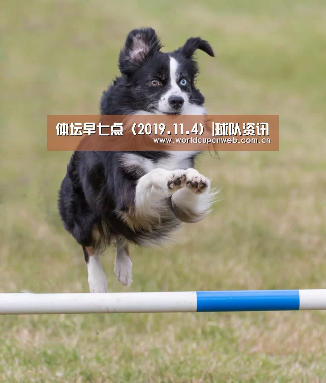 体坛早七点(2019.11.4)|球队资讯(图1) 赛事新闻