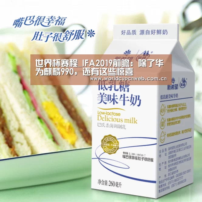 世界杯
