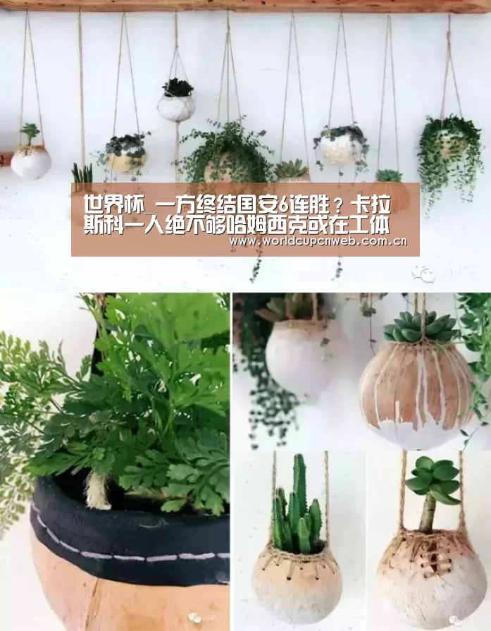 世界杯_一方终结国安6连胜?卡拉斯科一人绝不够哈姆西克或在工体迎来重生(图1) 世界杯赛程
