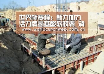 世界杯赛程:新力加力活力牌氨基酸软胶囊 消除前列腺炎(图3) 世界杯赛程
